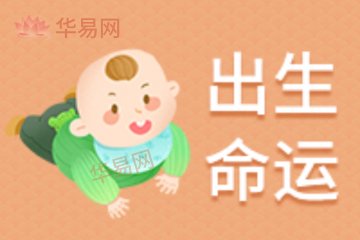 今日出生是什么命