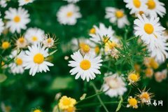 2025年命裏缺木的男孩名字推薦