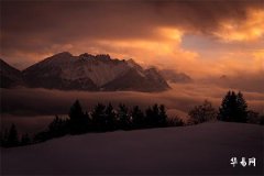 1981年木命和1982年水命合吗