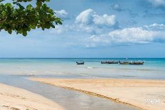 木命与水命婚姻相配吗：五行命理深度解析