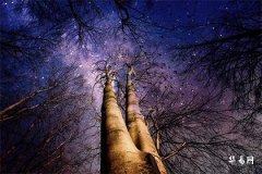 结婚第一年过年初几回娘家好，了解这些风俗习惯很重要！