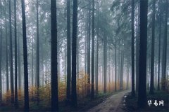 2025五行缺火的男孩名字,男孩补火最好的字