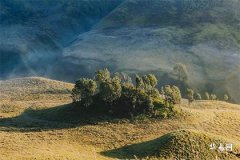 家居风水提升：反光煞的化解方法全攻略