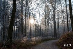 怎么判断车牌号好不好,车牌号码选择方法