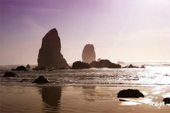 71年屬豬女最終下場,71豬女最近喜事是什麼