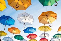 嘉字五行属木还是土,嘉和佳哪个字寓意更好