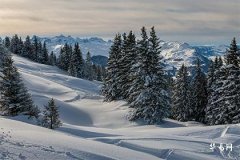 o血型性格的男人及婚姻,O型血处女座男人详解