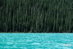 东北角厨房大吉大富大贵