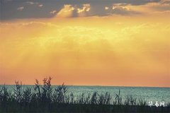 74年属虎50岁后还会离婚吗,74年虎人二婚正缘是谁