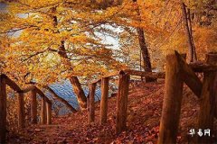 2025蛇寶寶五行缺土取名,康熙字典五行屬土的字