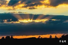 古代纳采为什么要用雁,大雁象征忠贞之爱