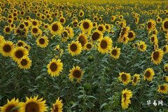 搬家第一年过年忌空房，为何如此重要？