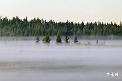 叫艺的女人命运