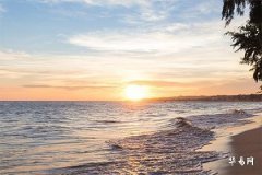 五行命理1991年土命与1986年火命分析