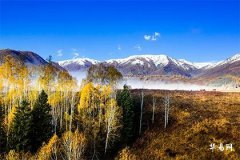 70年属狗女晚年凄凉,1970年几月狗命苦