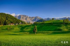 男木命和什么命在一起好