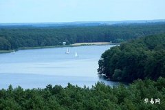 属猴2026年运势及运程1980年的猴,80年属猴最难熬的一年