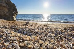 1981年木命和1976年土命合不合