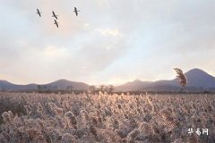 缺土怎么补五行,五行缺土又缺水的原因