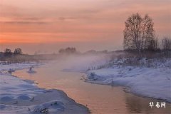 92年猴2026年感情运势如何,2026年猴女开始走大运