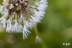 2025命裏缺水起什麽名字：五行缺水女孩取名精選