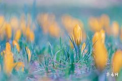 小运播报每日运势2023年11月9日十二生肖今日运势