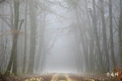 金命和火命相配吗：五行原理与婚配分析