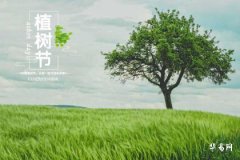 2024年植树节是什么时候_植树节种什么树有意义