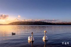 纳采在日历中代表什么,纳采的意义与历史起源