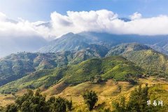 木命人与三尾生肖配对指南