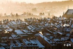 房子東南角缺角門前放大象有用嗎