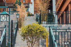 房子东南正南缺角对家庭风水的影响及化解方法