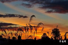 O血型的人性格特点详解,O型血最聪明三个特征