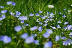 92年猴2026年运势完整版,92年猴34岁才开始转运的人