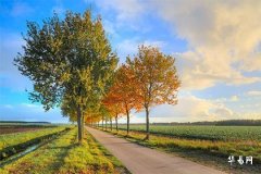 2025五行缺金木的男孩名字,男宝缺金缺木霸气名