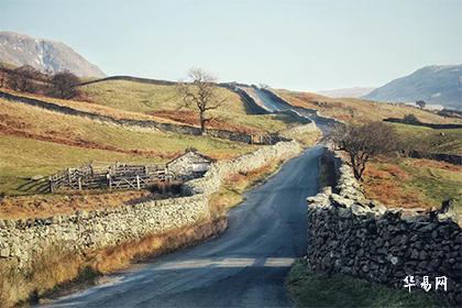 不好骗的精明生肖女