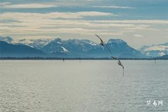 木命家居风水-木命用什么颜色窗帘