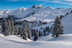 2025年蛇宝宝巳时出生女孩怎么取名,2025蛇最旺女孩名字