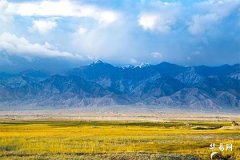 1975属兔女人最佳丈夫,十一月兔哪天最旺