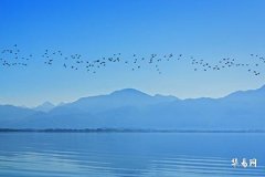 1975属兔的最旺数字,75大溪水命最佳颜色