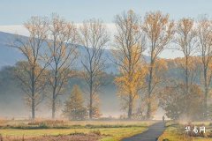 小运播报每日运势2023年11月24日十二生肖今日运势
