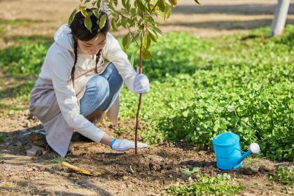 农历生日看一生命运性格，农历九月出生命理解析
